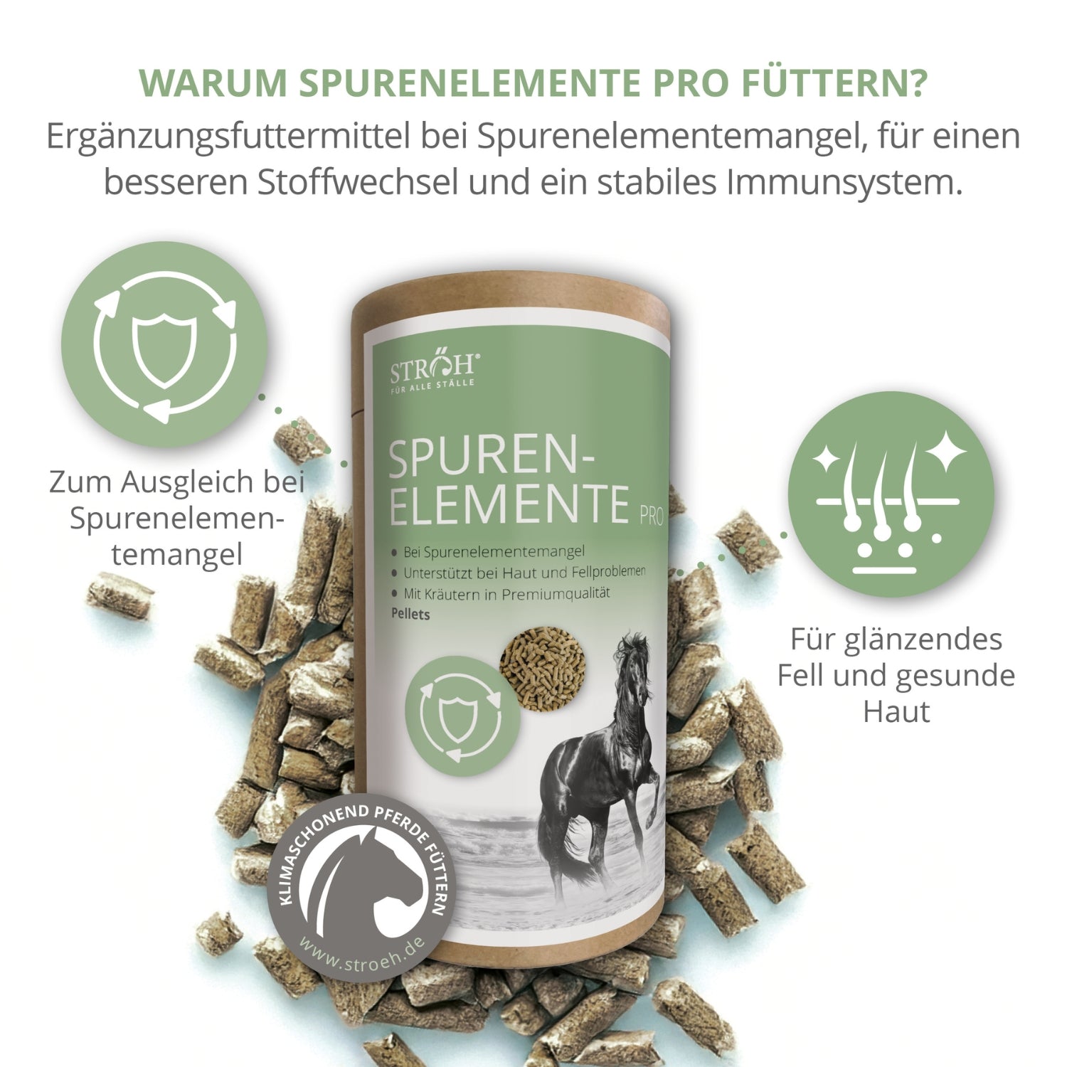 11567 – Bild 1