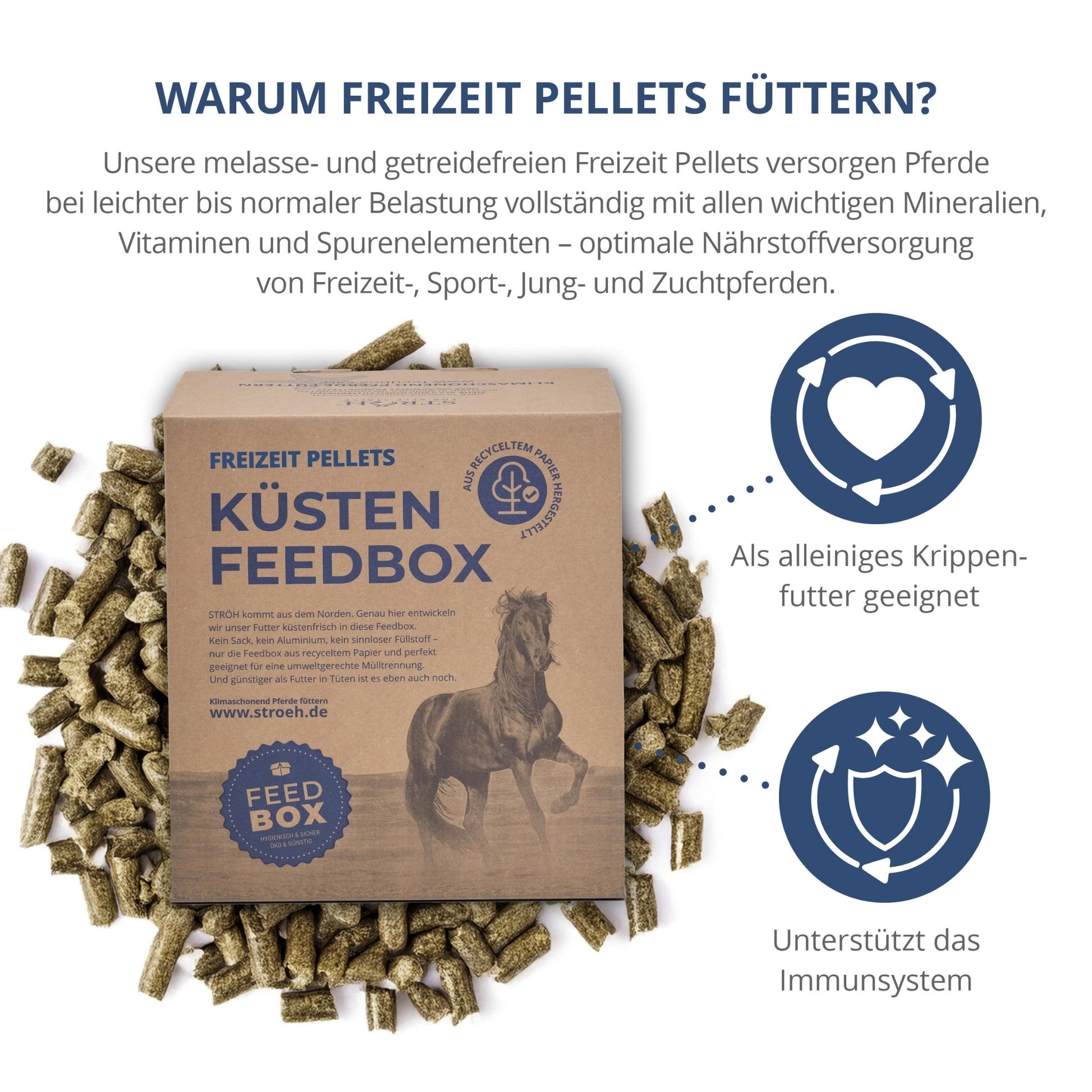 11568 – Bild 1