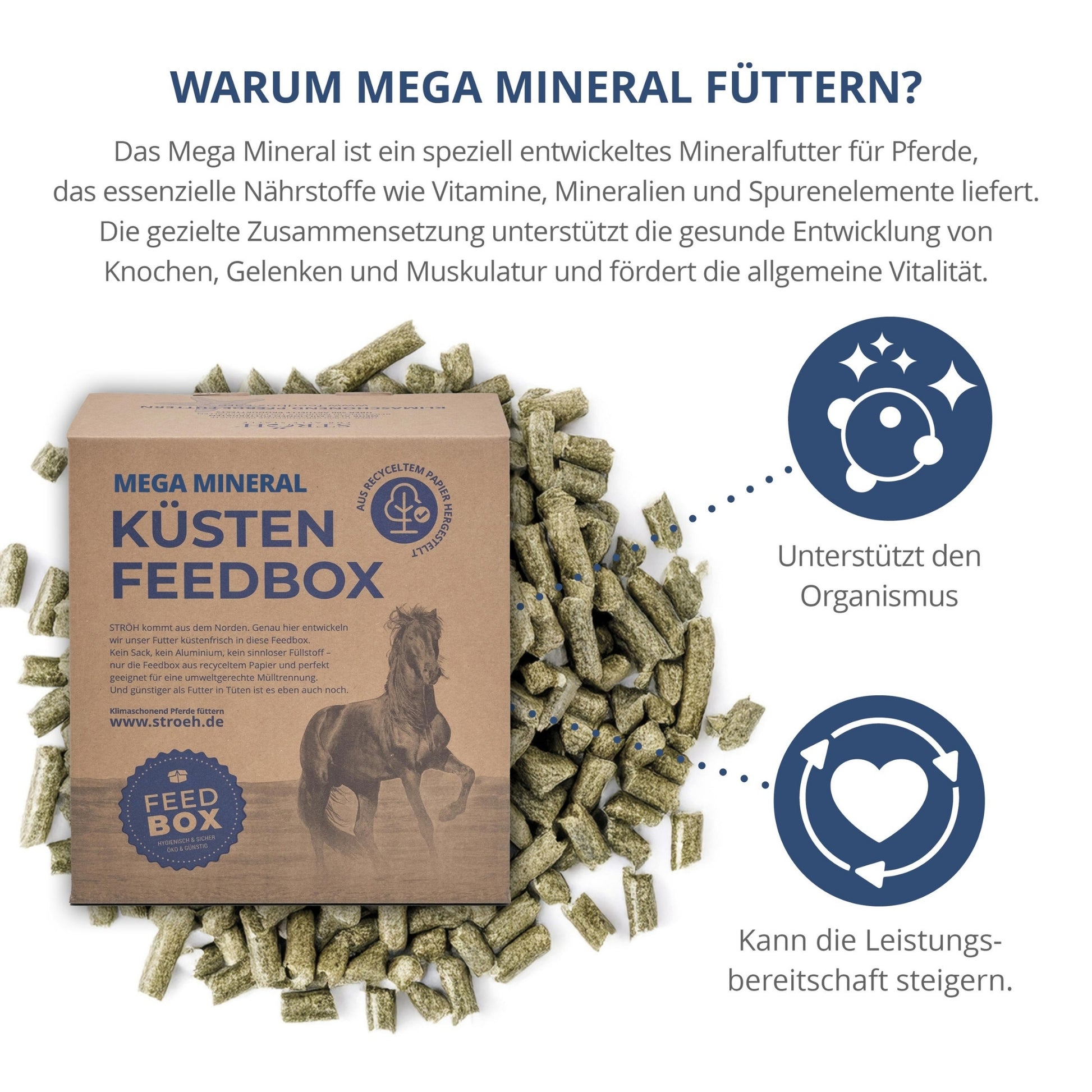11569 – Bild 1