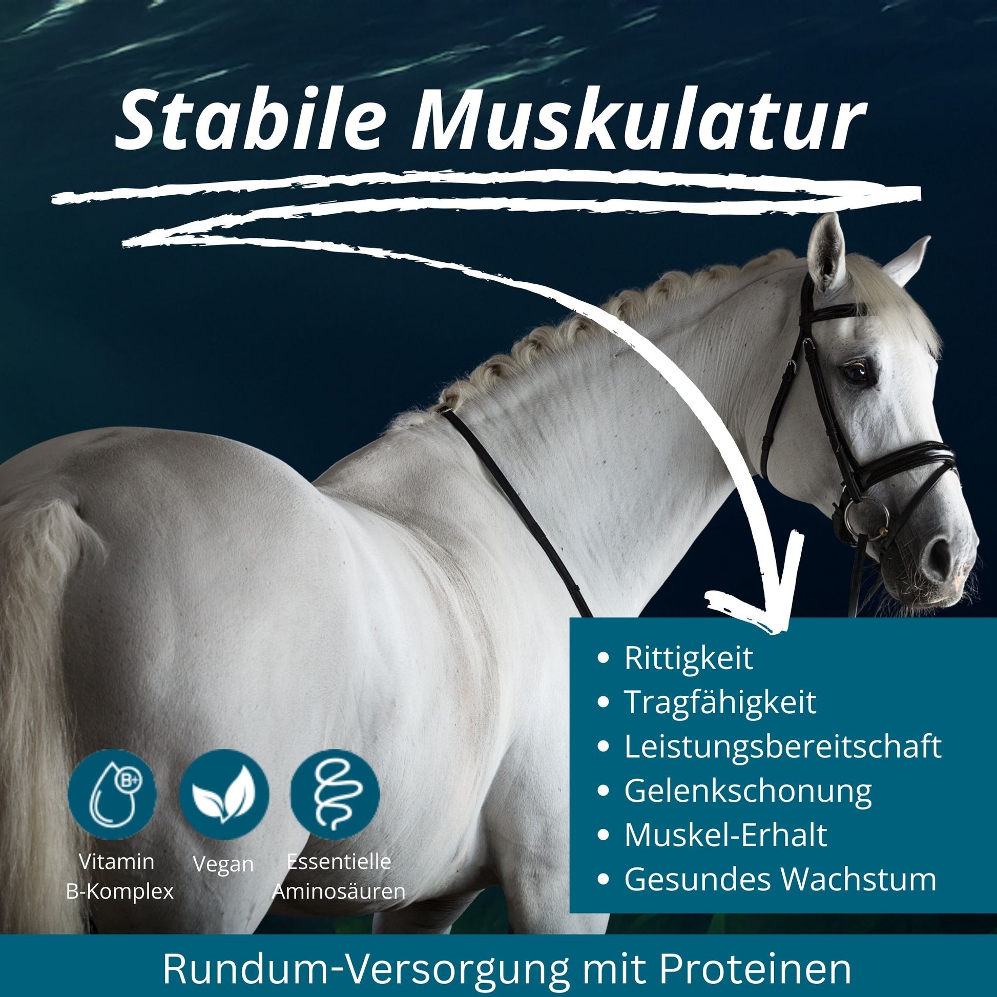 11573 – Bild 30