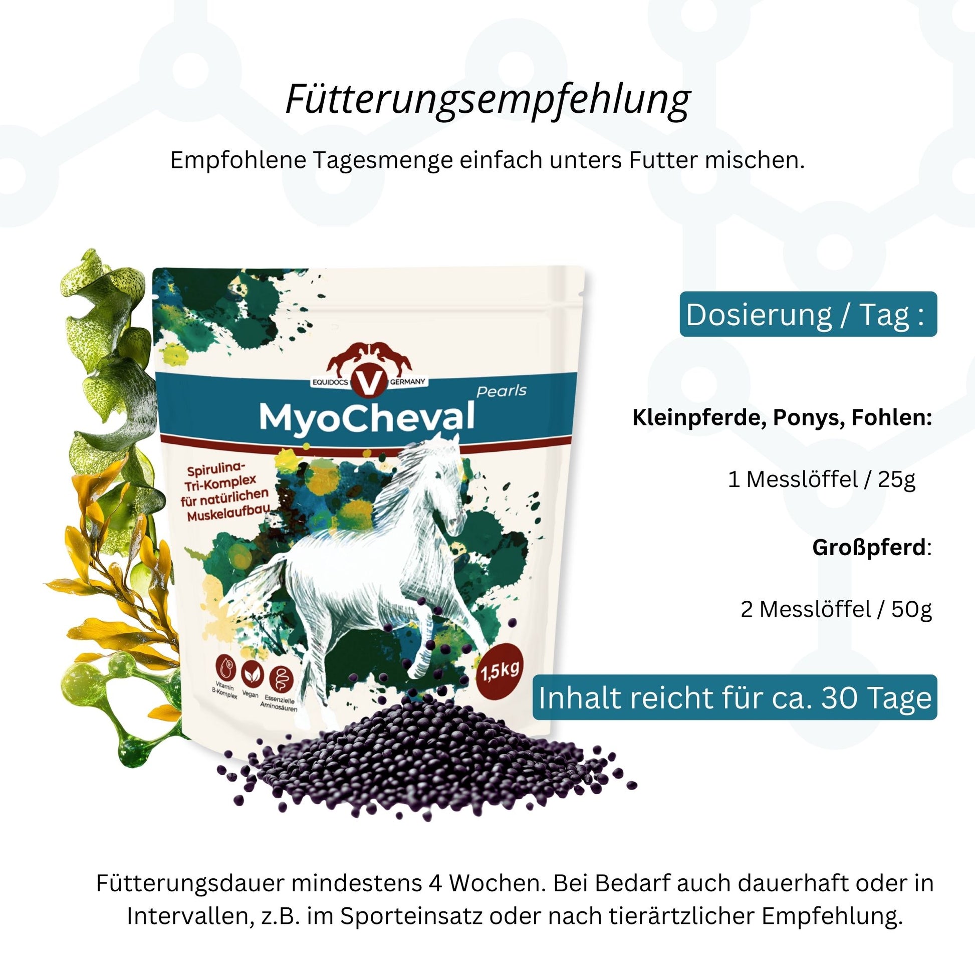 11573 – Bild 50