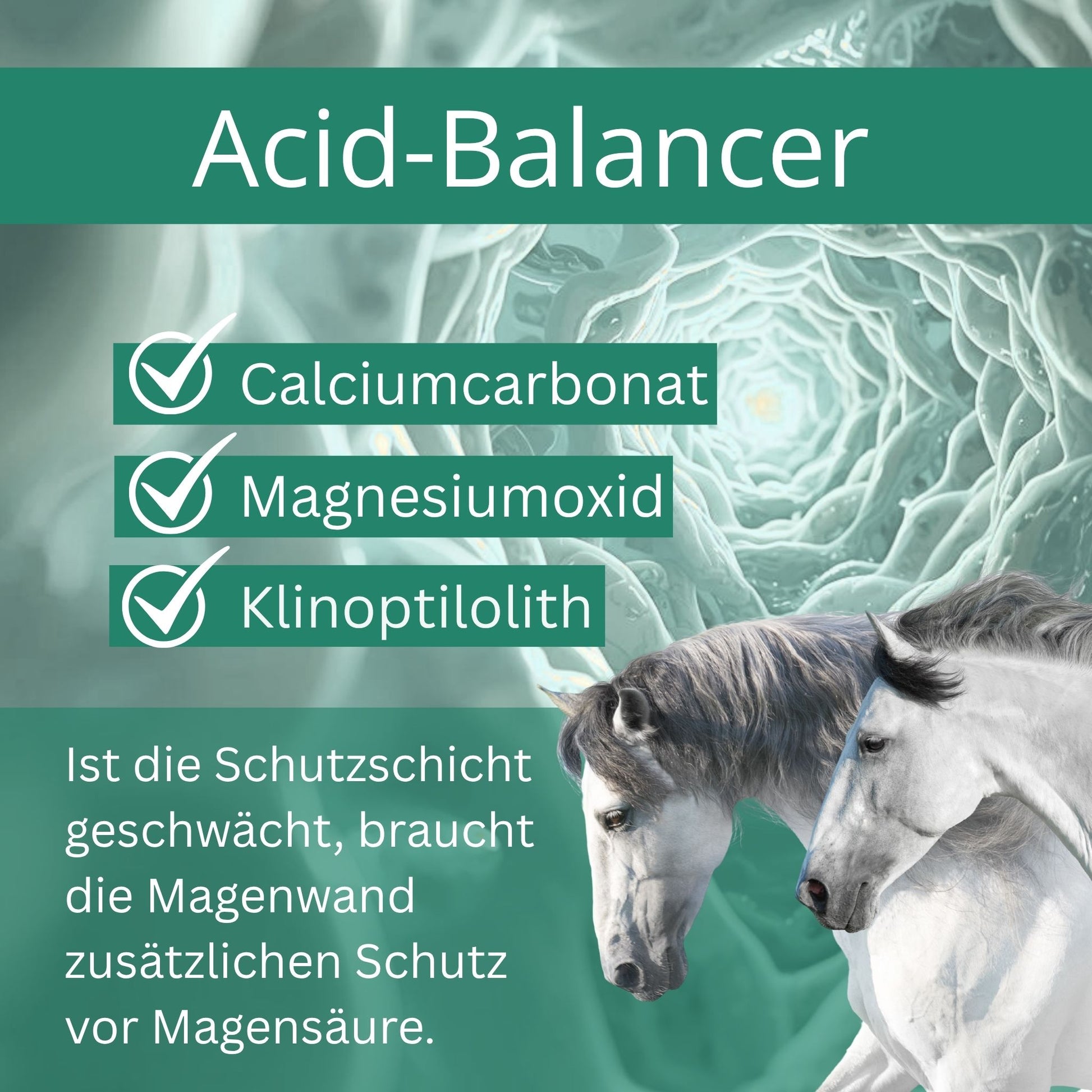 11574 – Bild 20