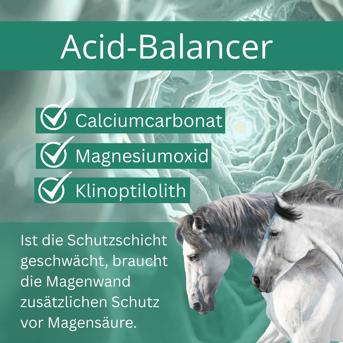 Equidocs GastroCheval 1500g