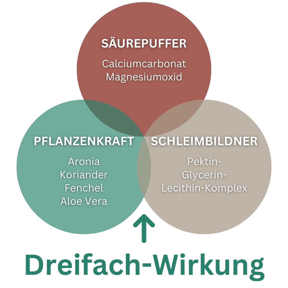 11574 – Bild 3