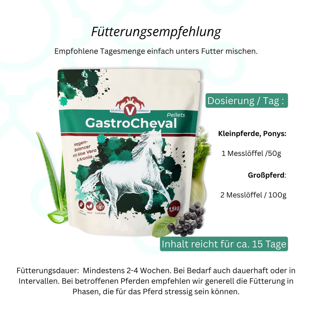 11574 – Bild 70
