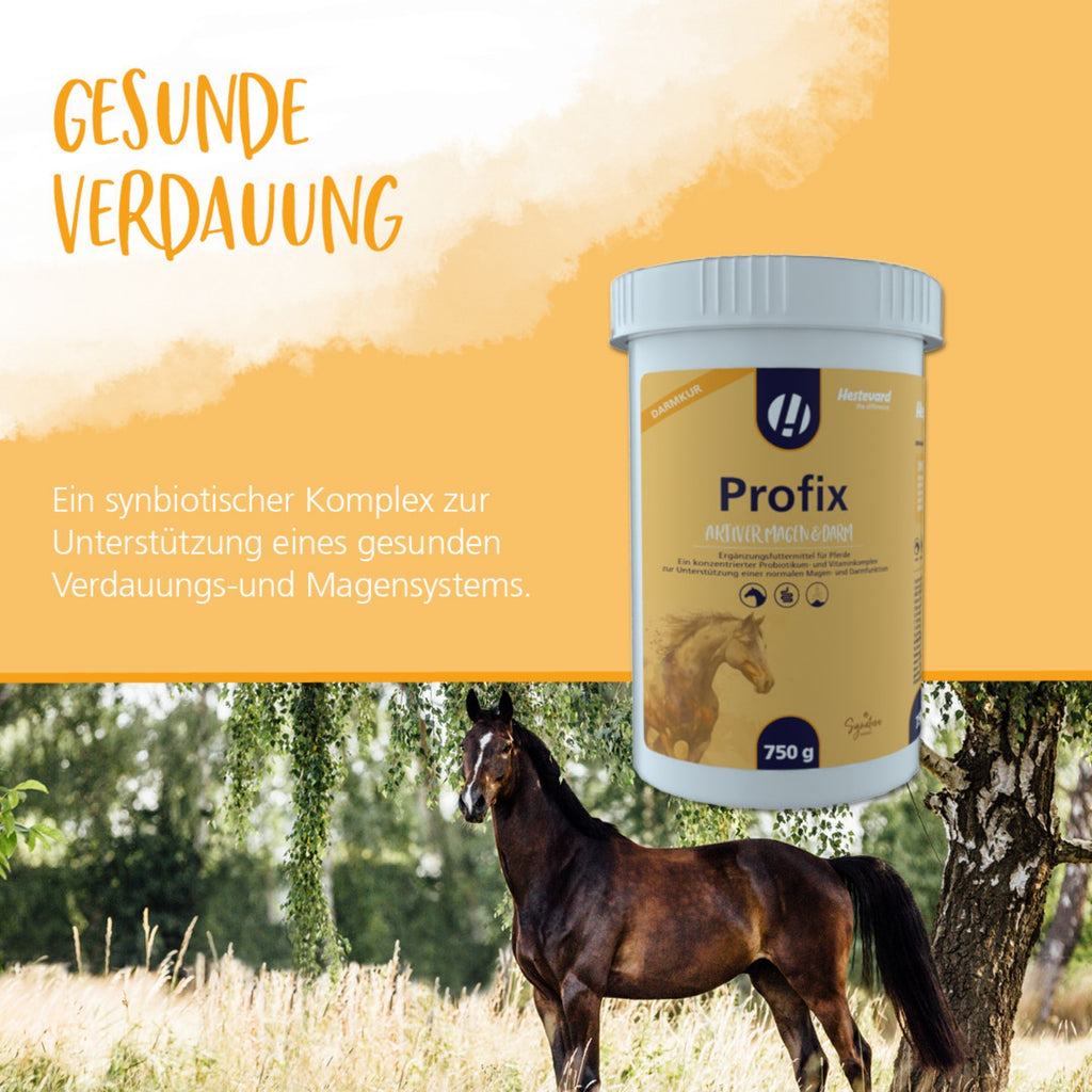 11621 – Bild 3