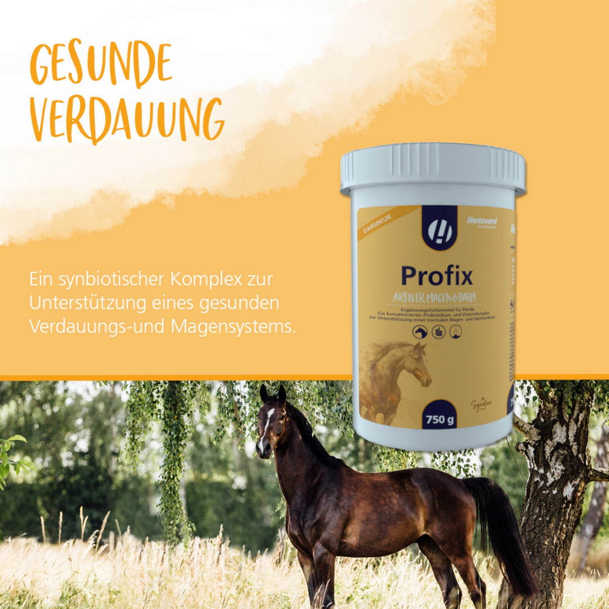 11621 – Bild 3