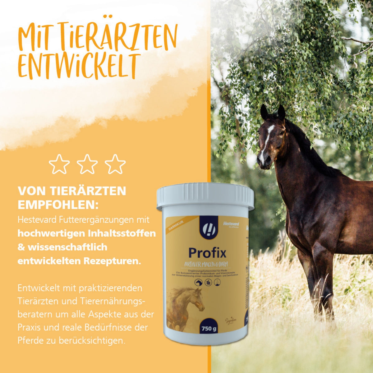 11621 – Bild 4