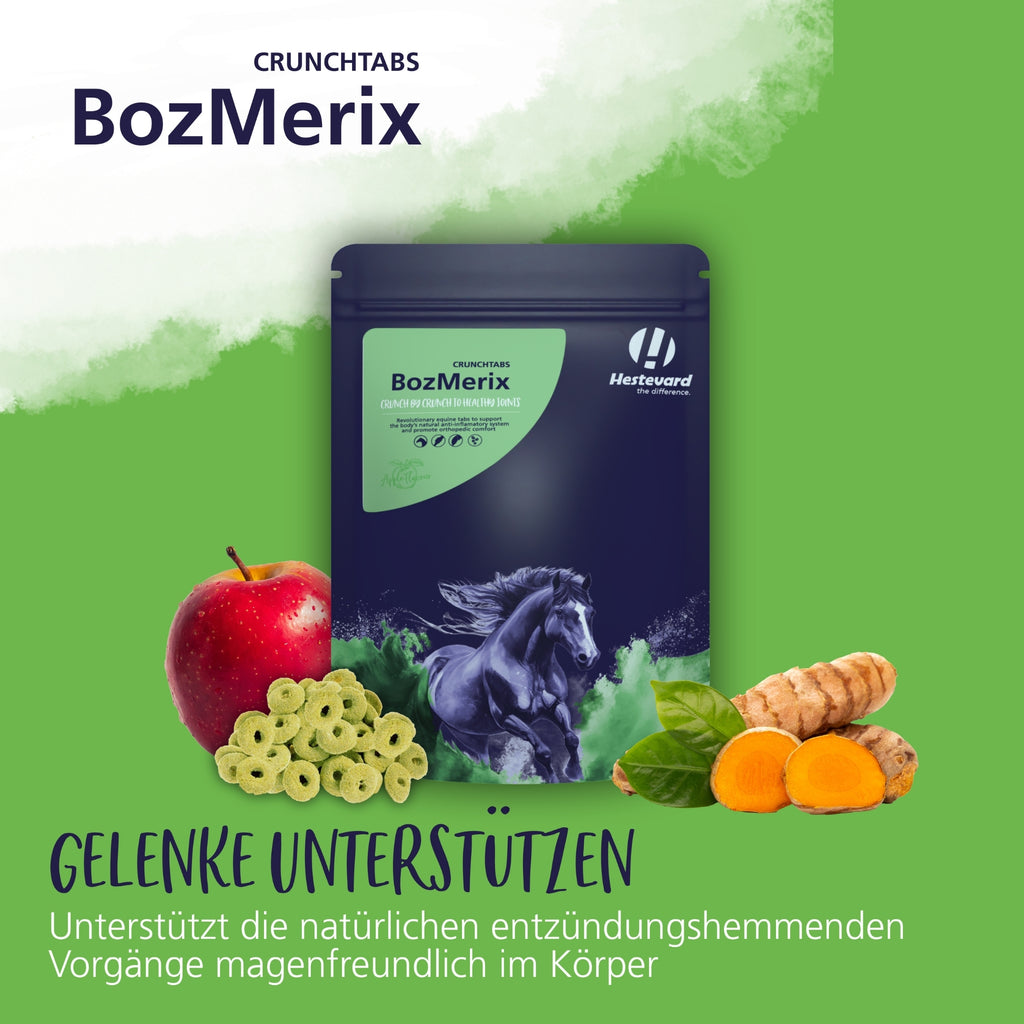 11623 – Bild 1