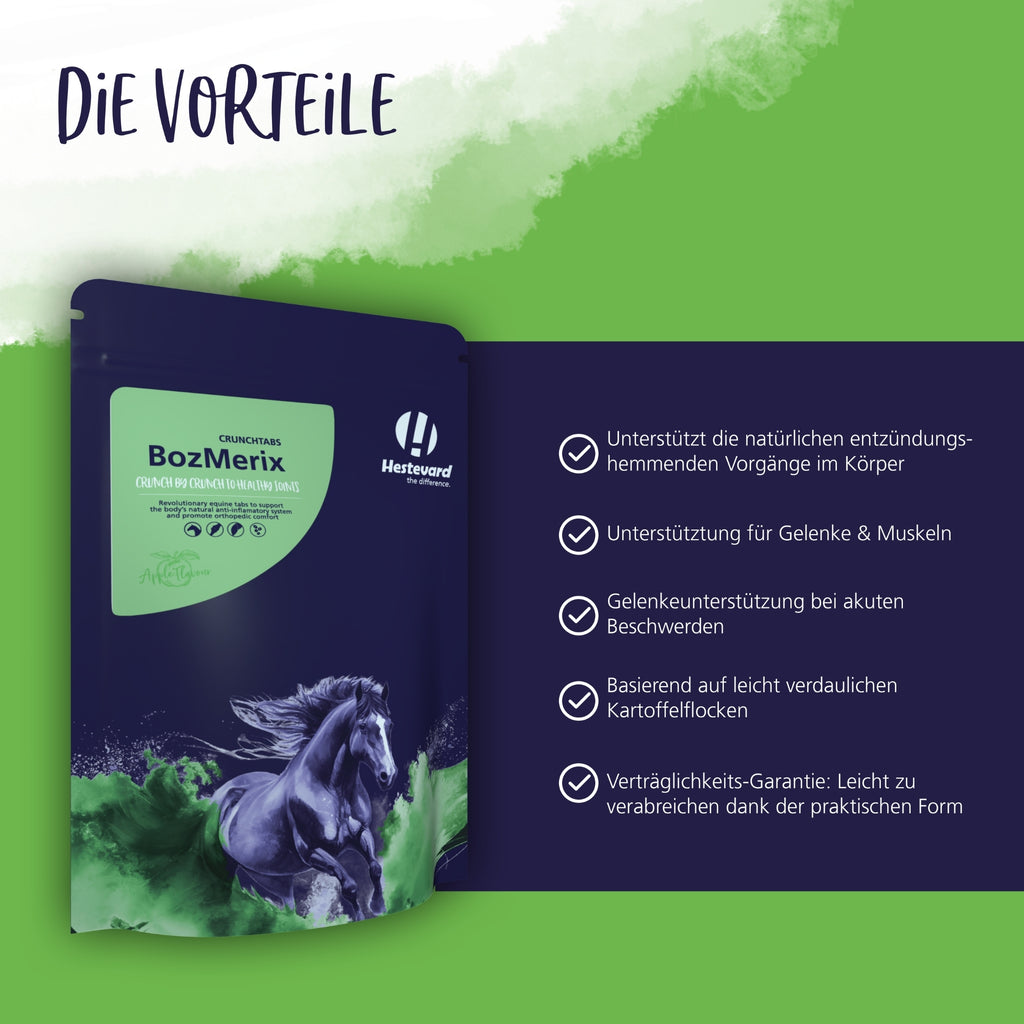 11623 – Bild 2
