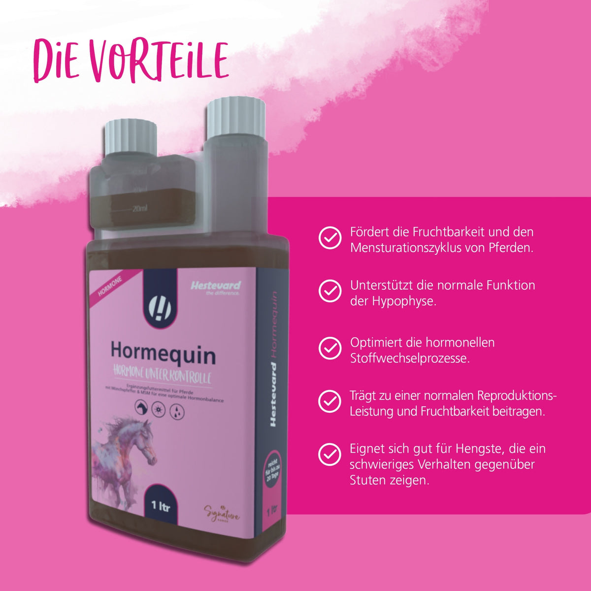 11624 – Bild 2