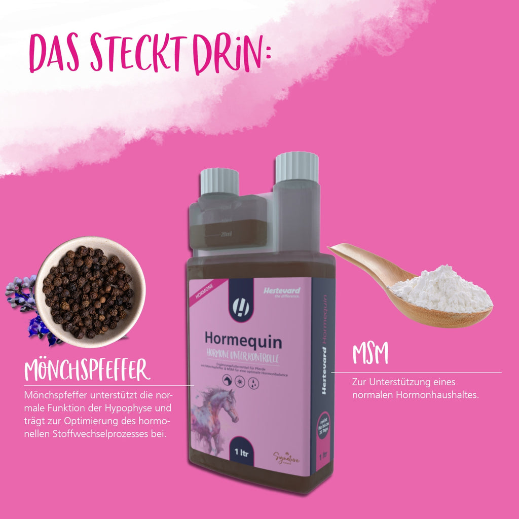 11624 – Bild 3