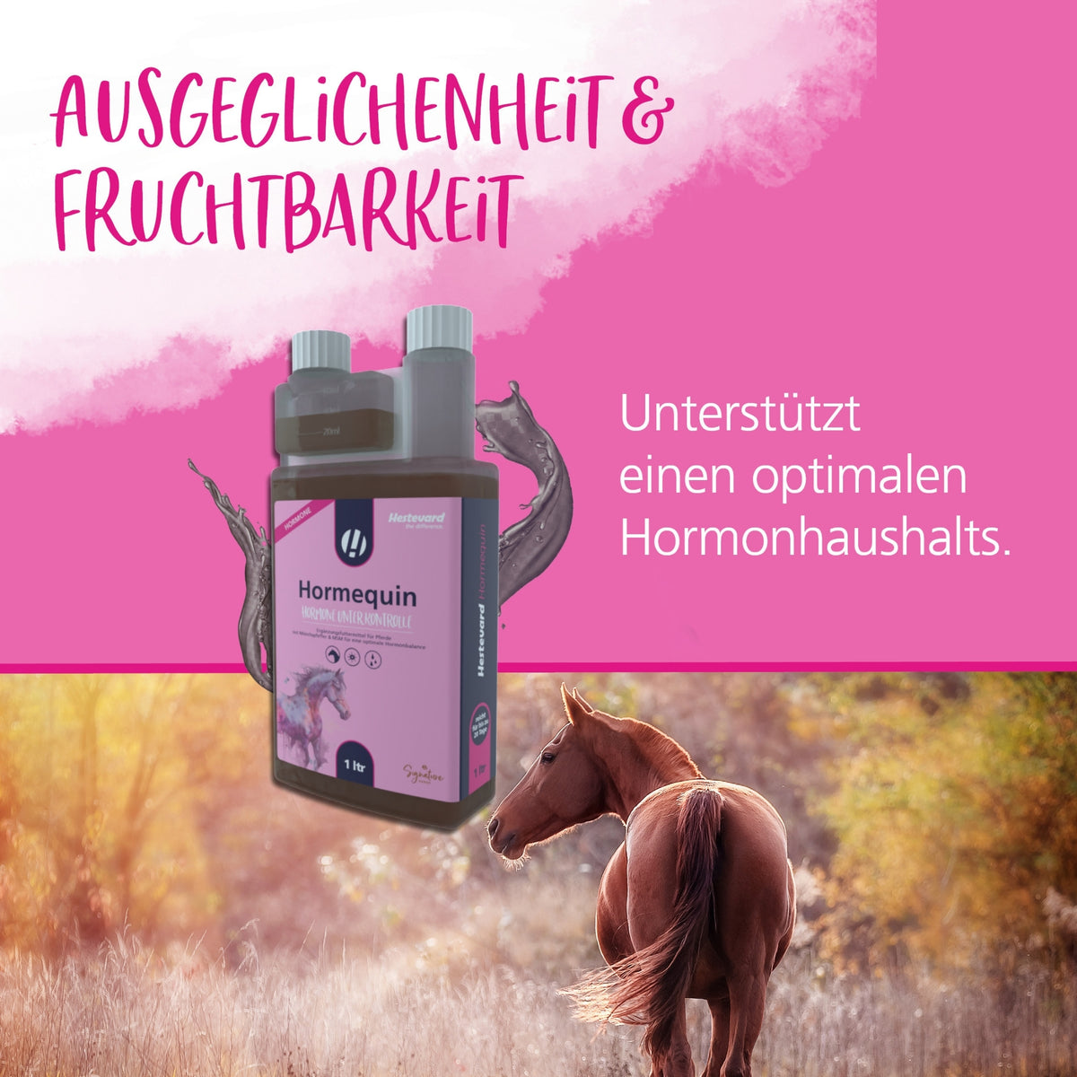 11624 – Bild 4
