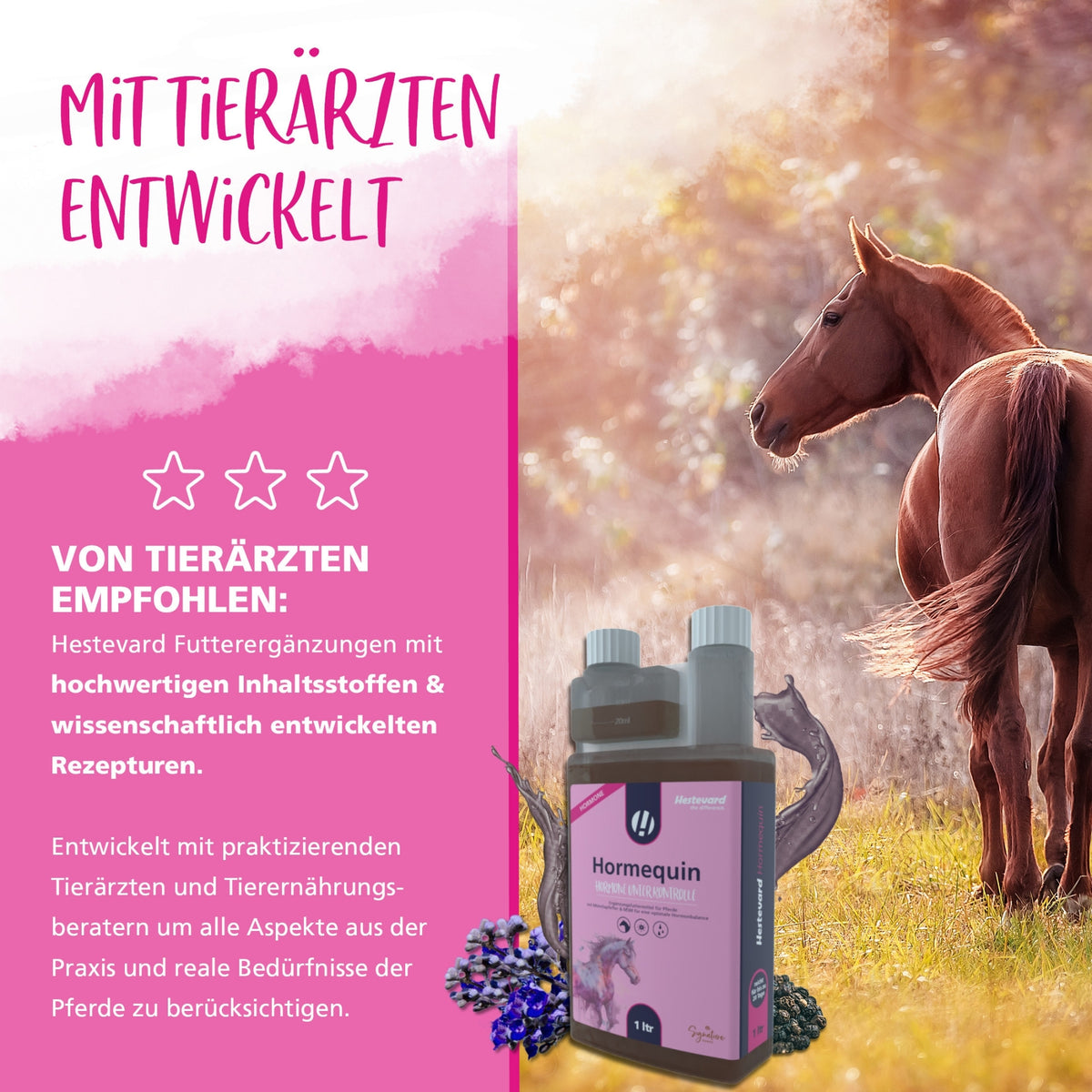 11624 – Bild 5
