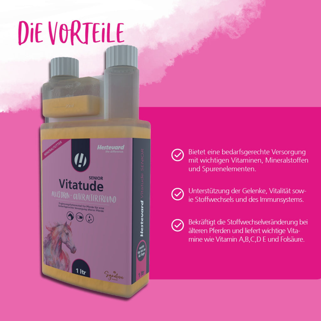 11627 – Bild 2