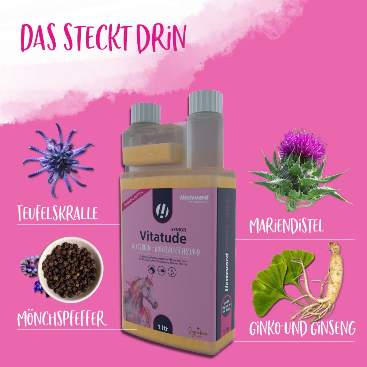 11627 – Bild 3
