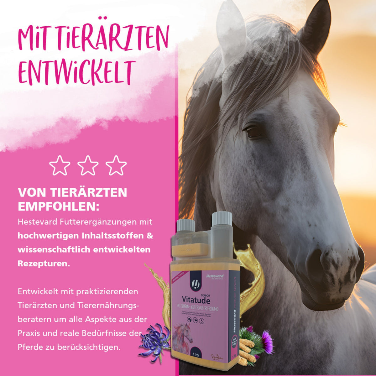 11627 – Bild 5