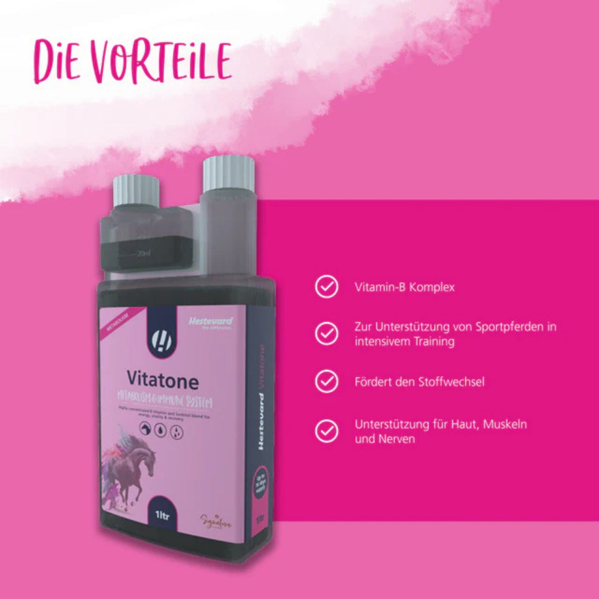 11629 – Bild 2