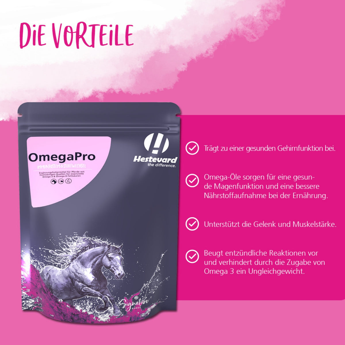 11630 – Bild 2