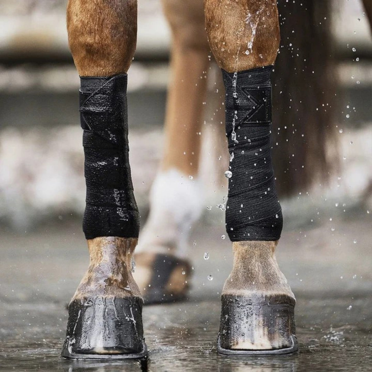 Incrediwear Equine Bandagen schwarz, Pony