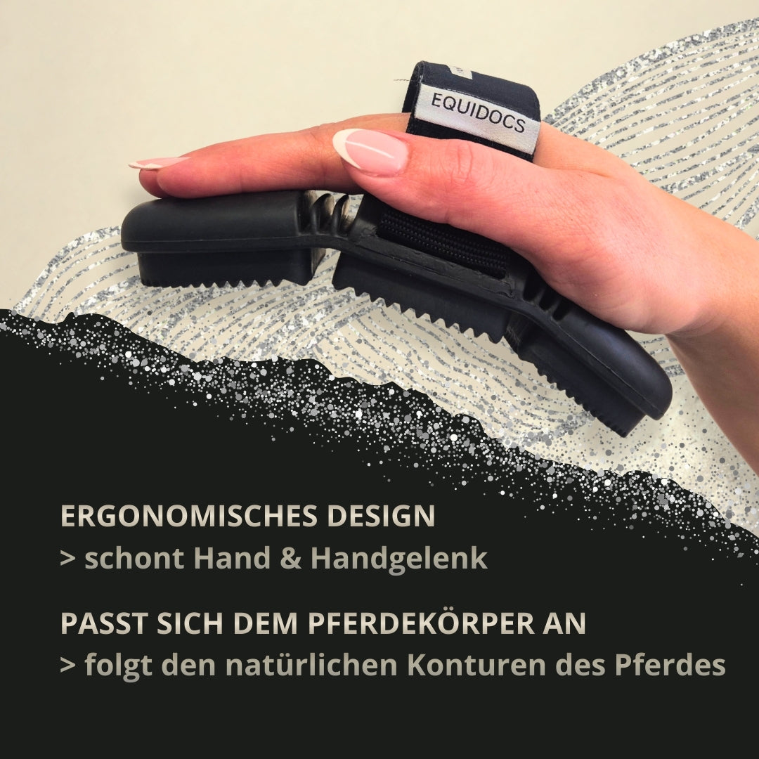 11695 – Bild 4