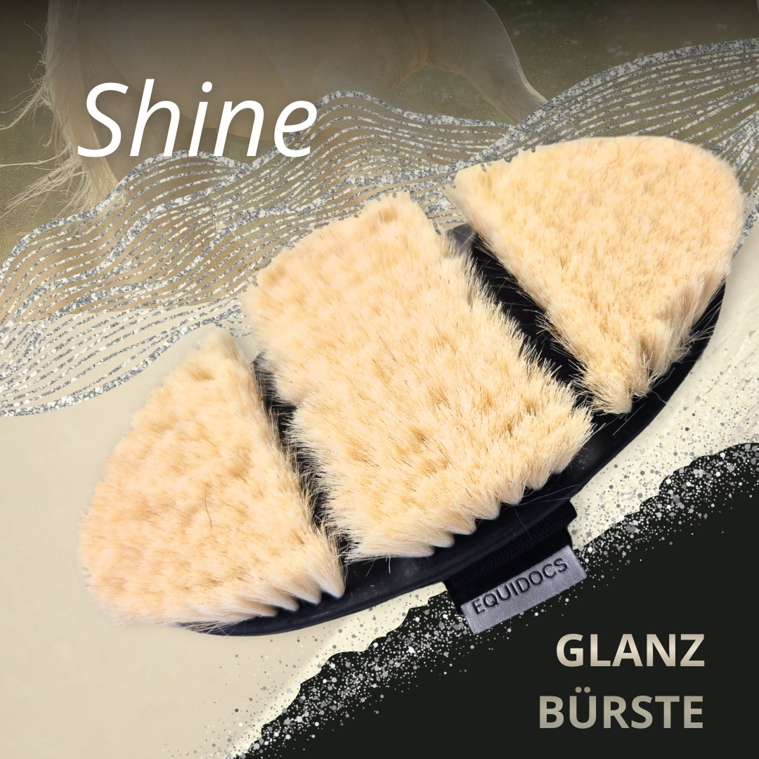 11698 – Bild 1