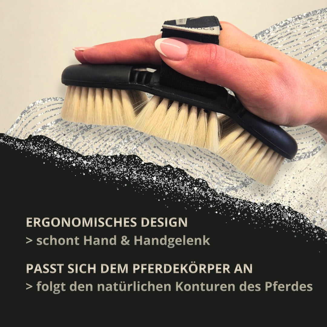 11698 – Bild 4