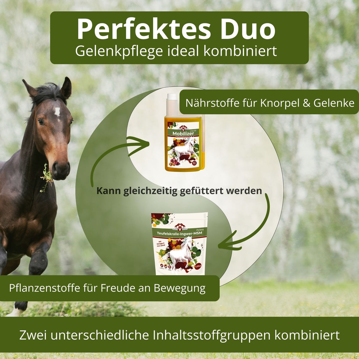 11726 – Bild 20