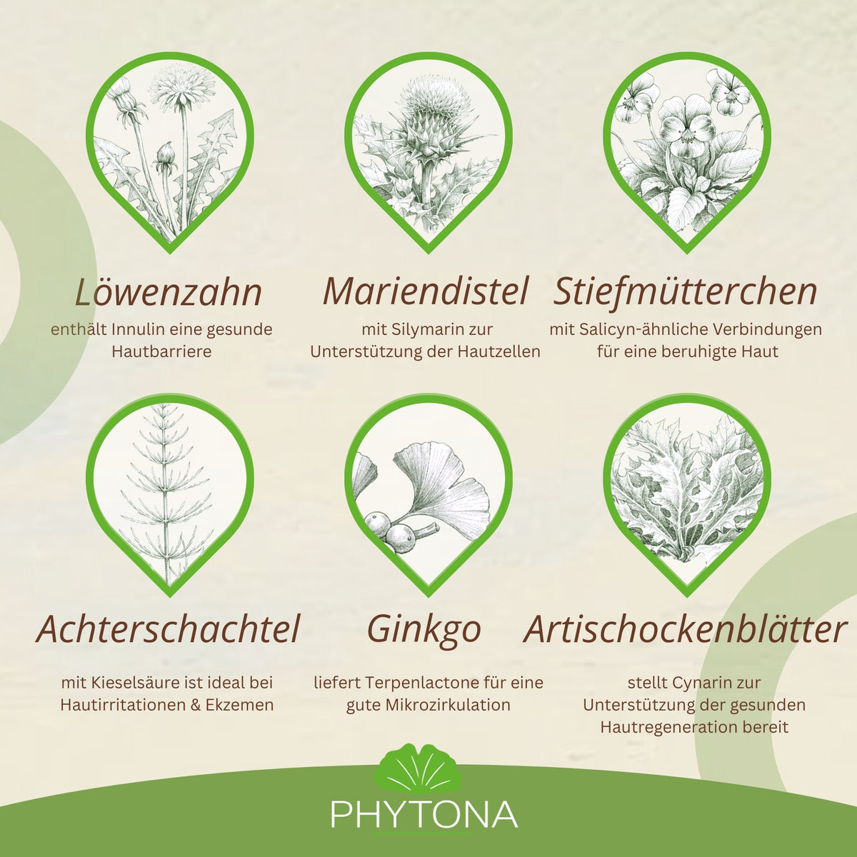 11735 – Bild 30