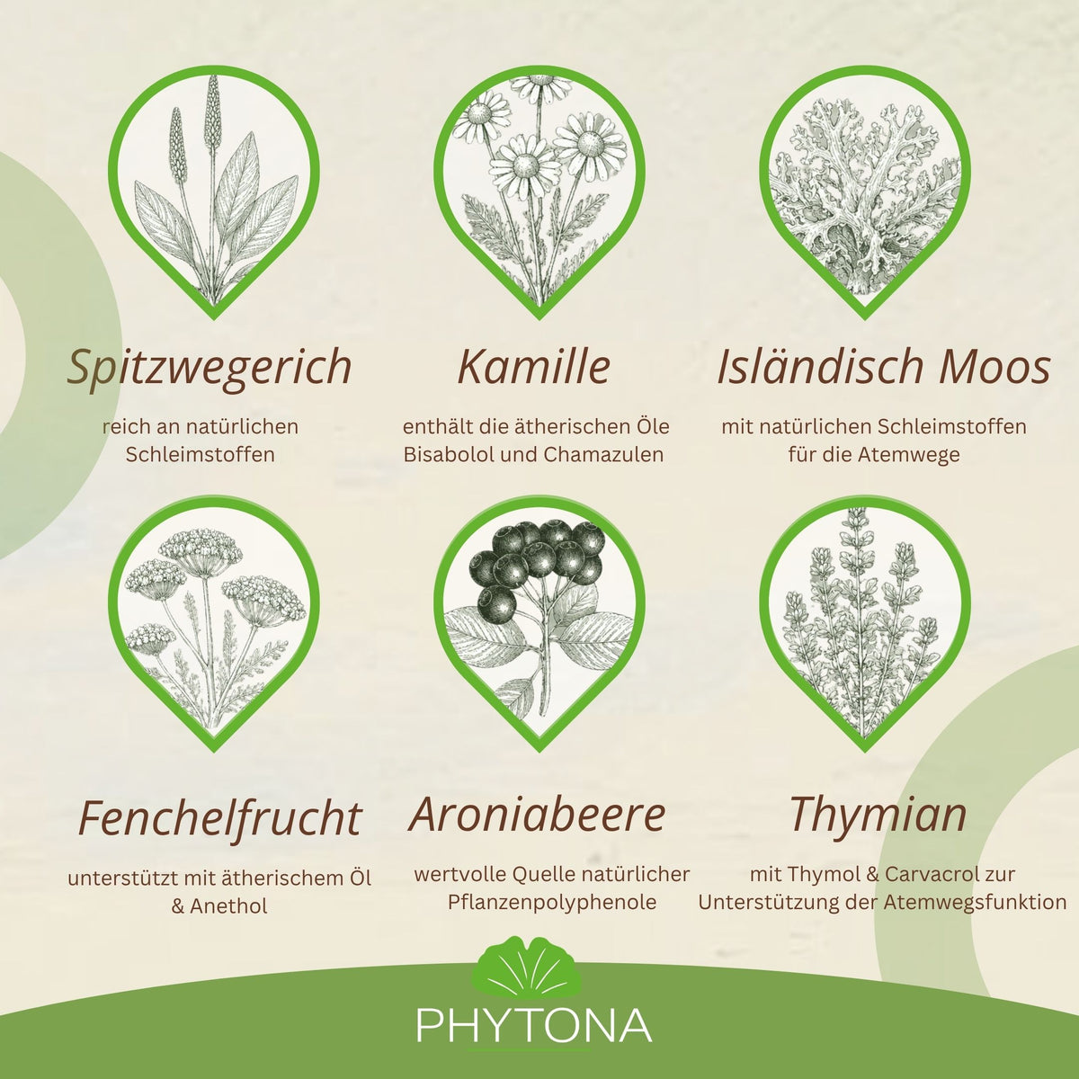 Phytona Pulmoten 1500g