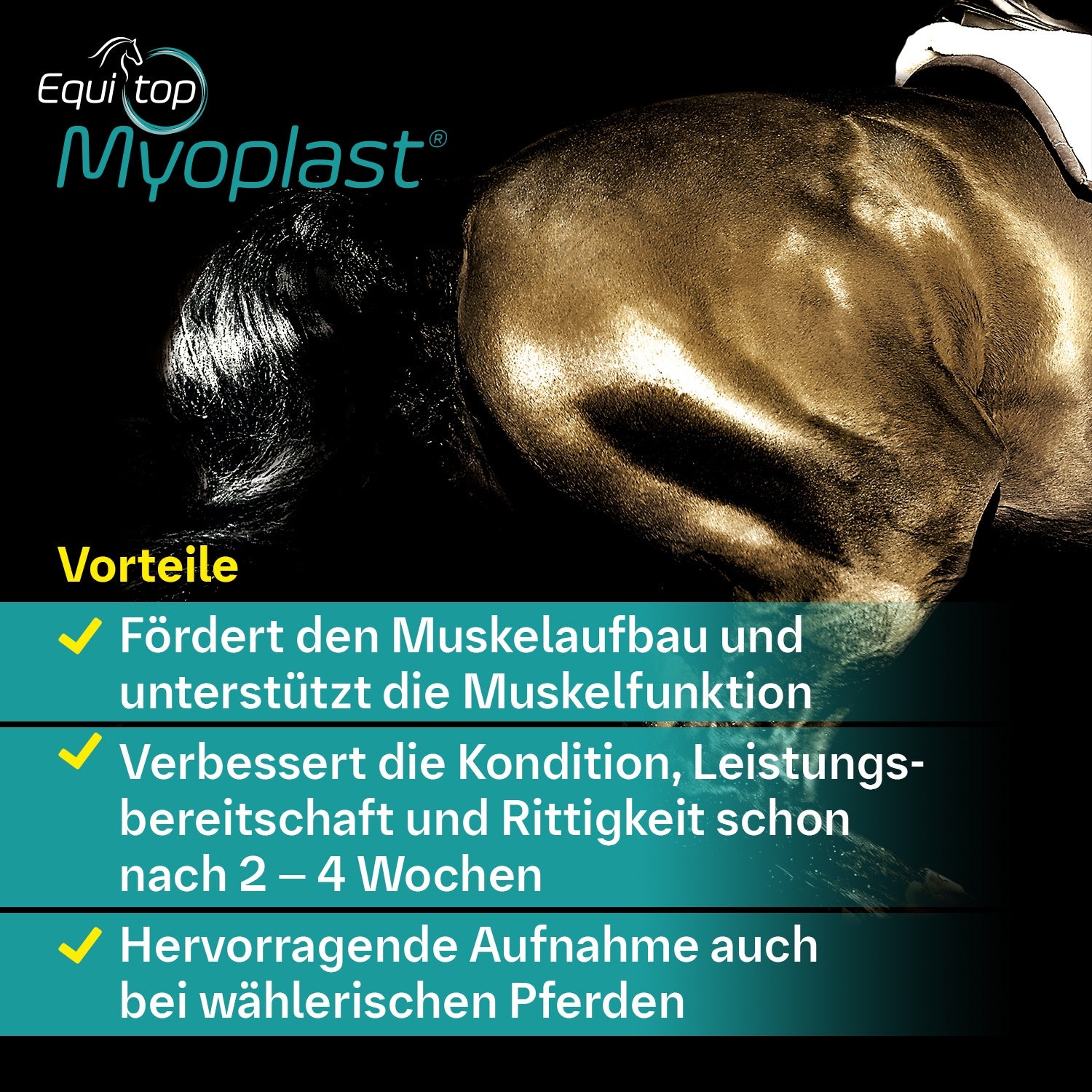 128BIE – Bild 3