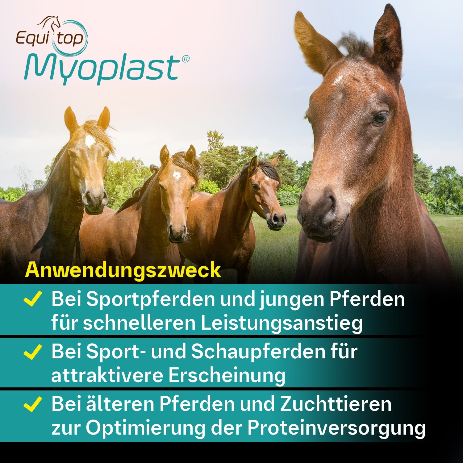 128BIE – Bild 4