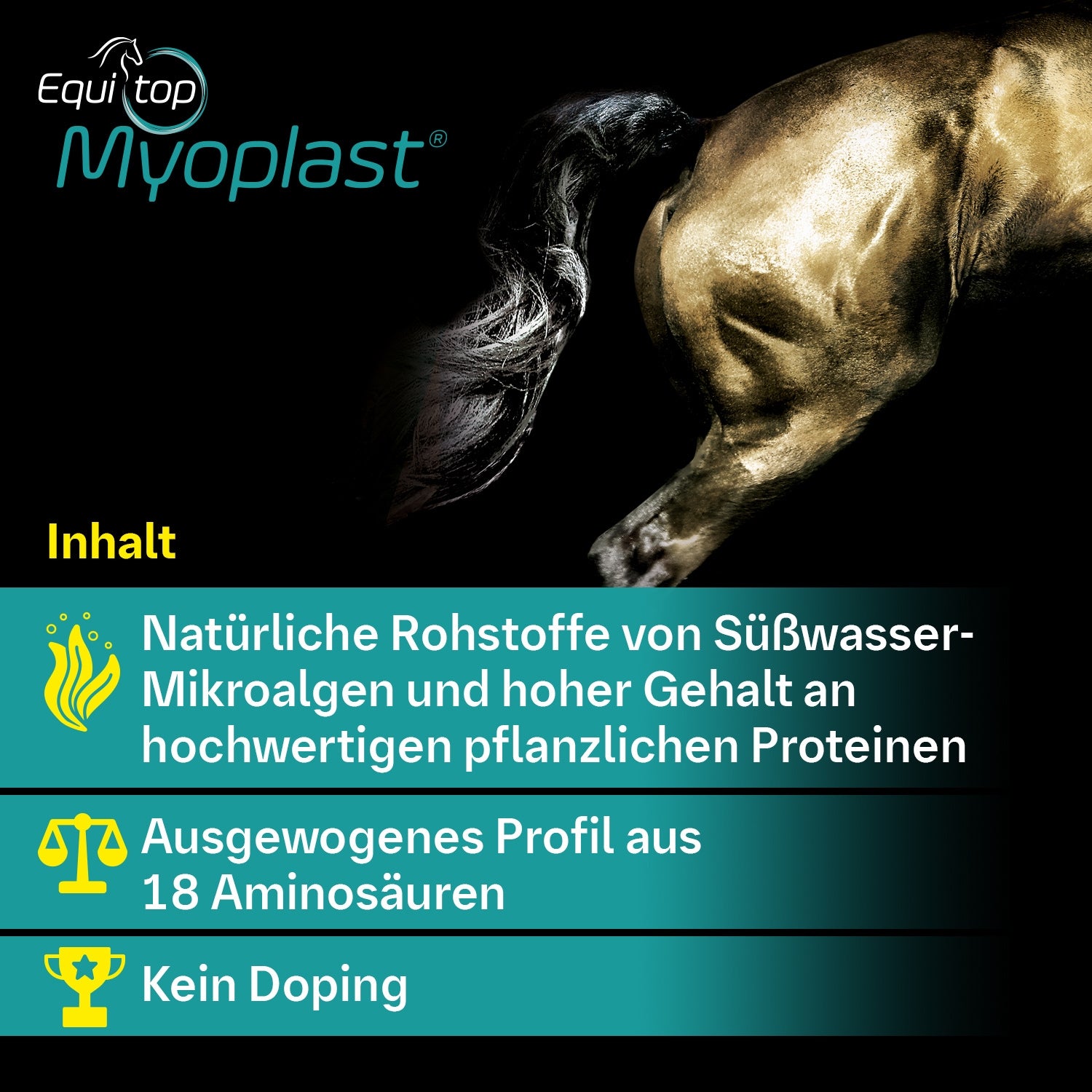 128BIE – Bild 5