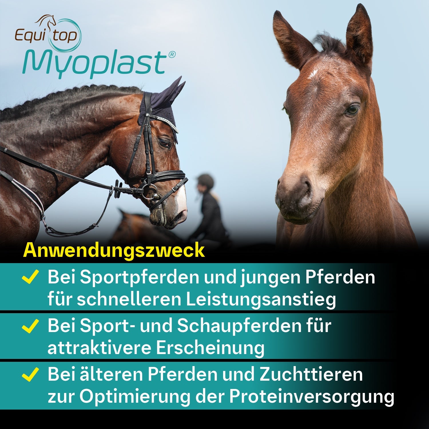 128BIE – Bild 7