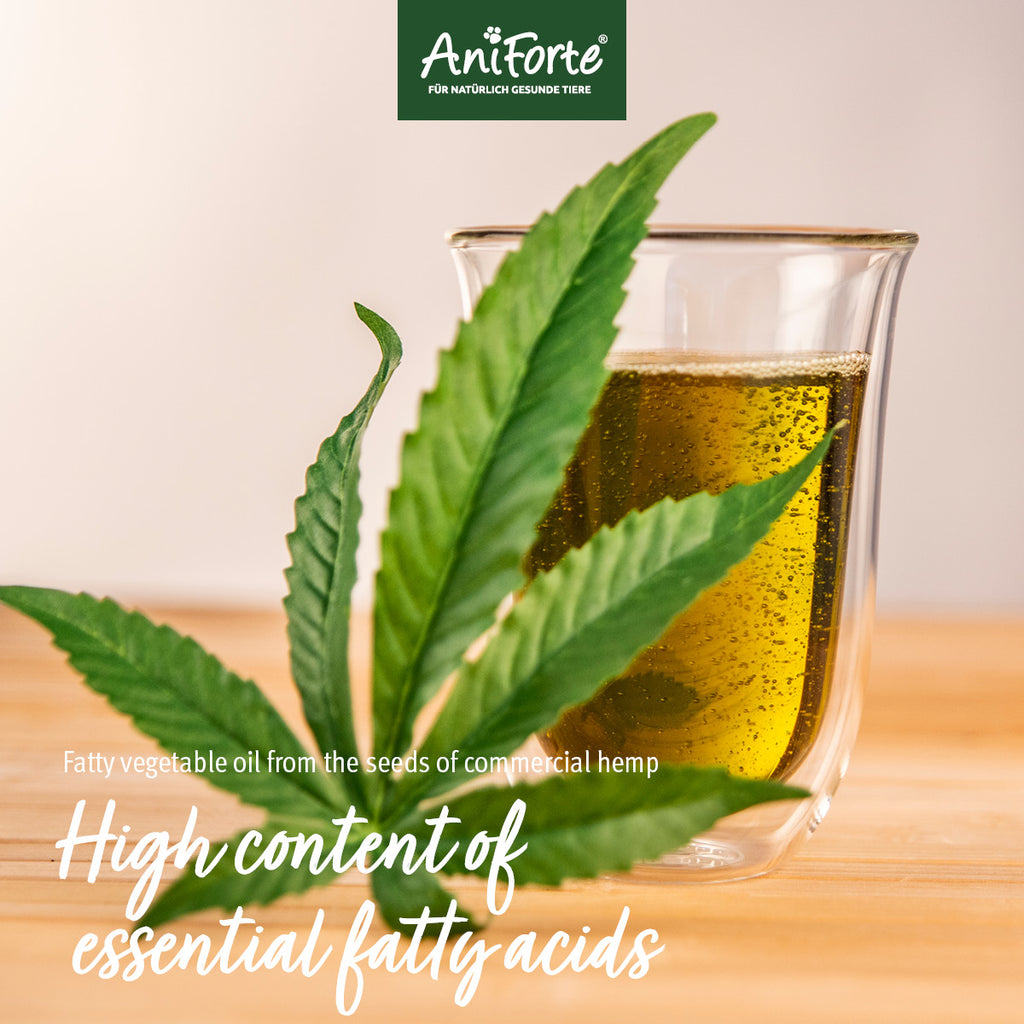 1698AFH – Bild 3