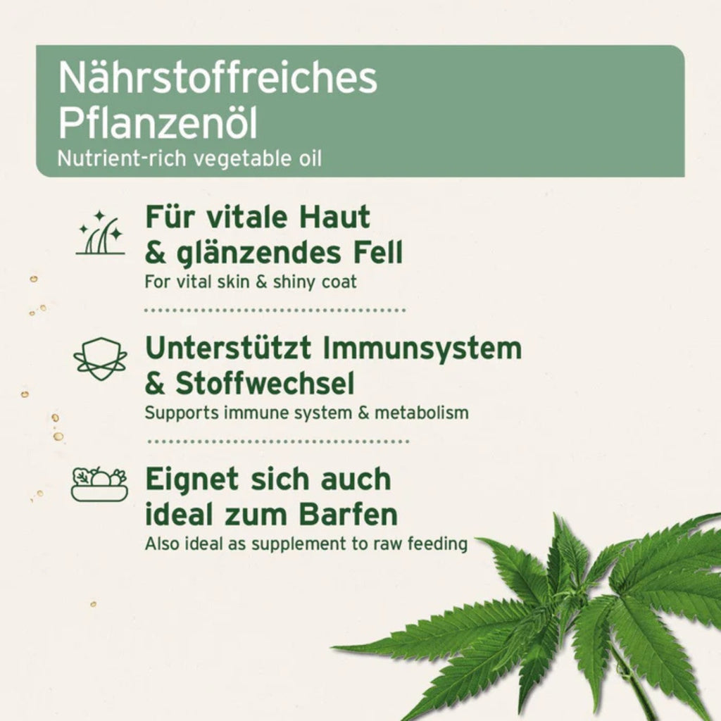 1699AFH – Bild 1