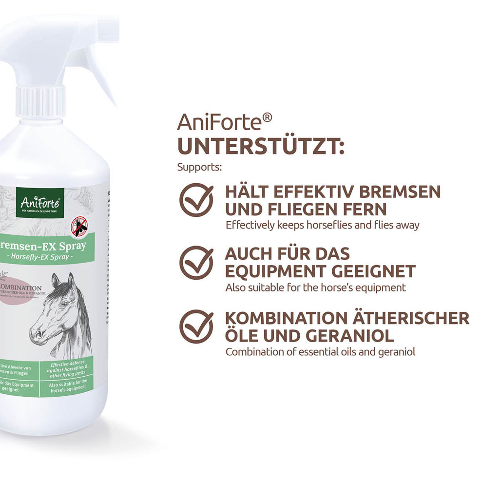 1704AFB – Bild 2
