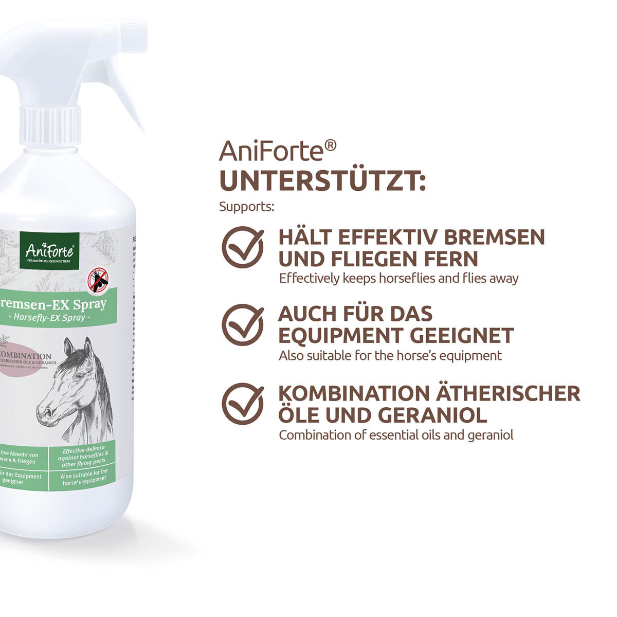 1704AFB – Bild 2