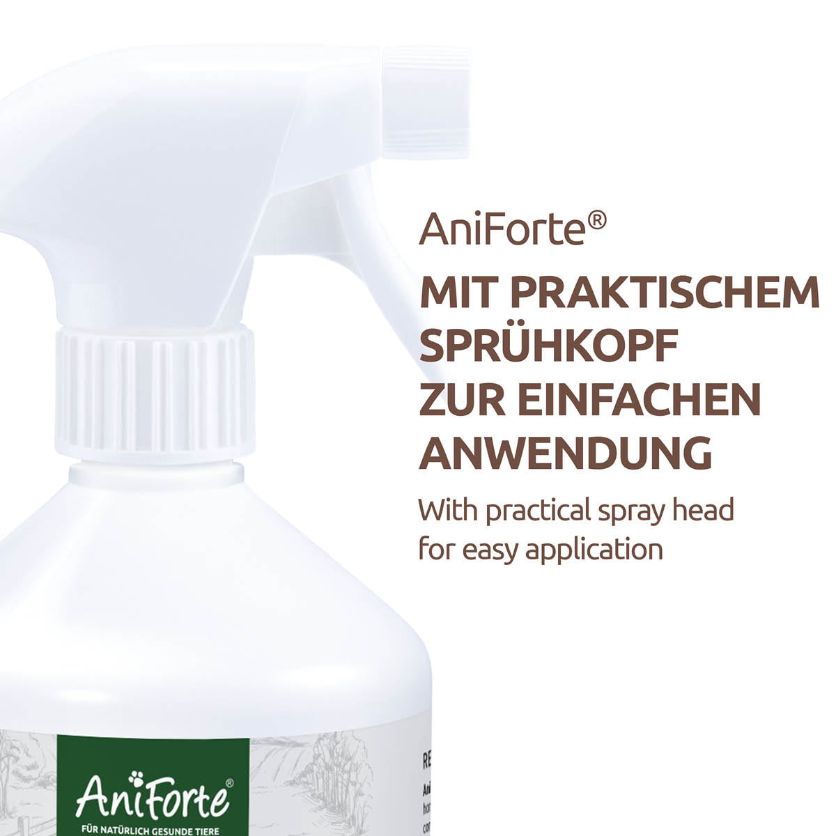 1704AFB – Bild 3
