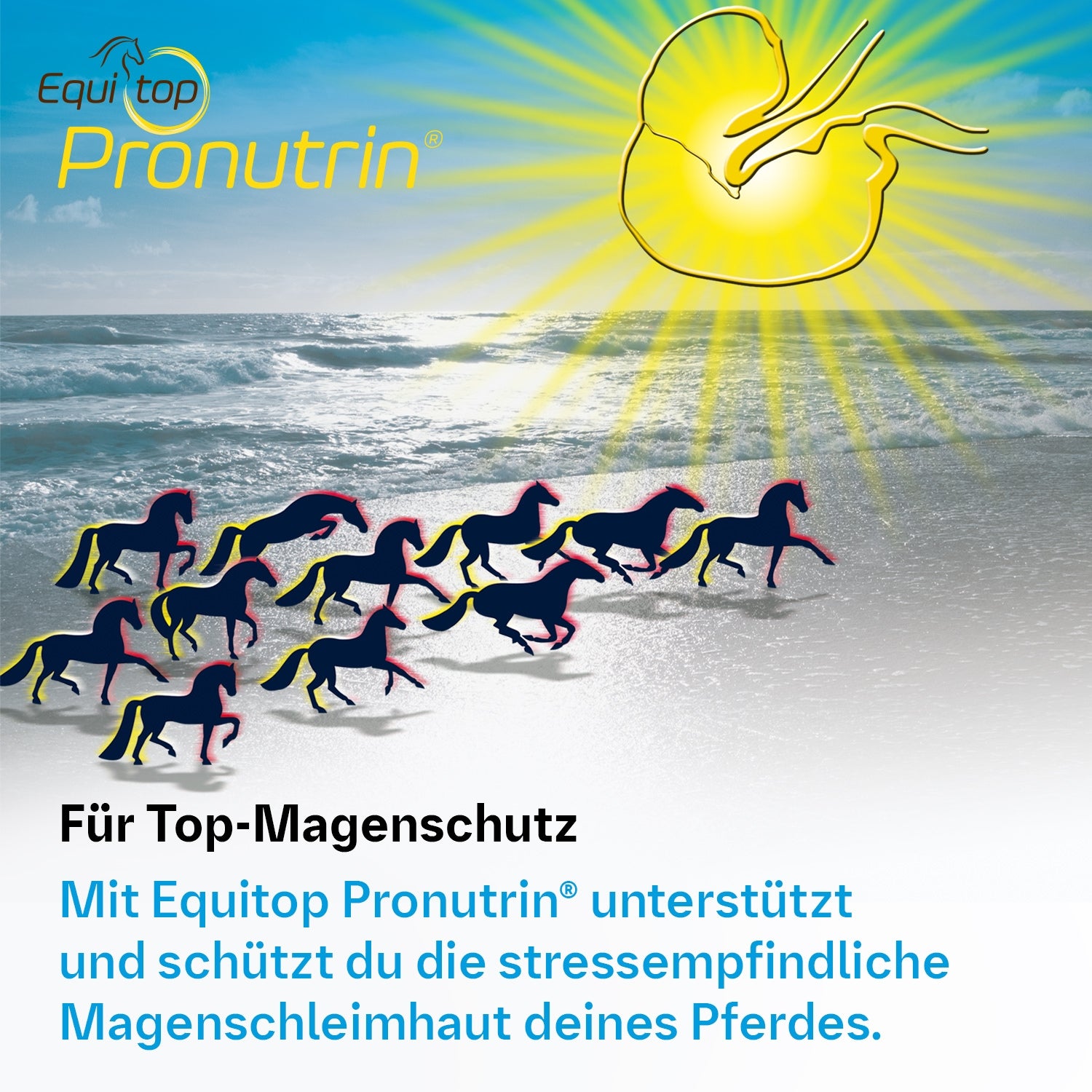 194BIP – Bild 2