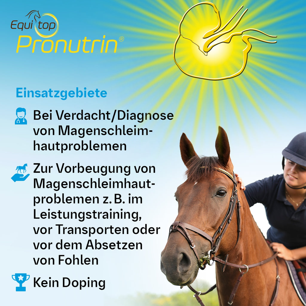 194BIP – Bild 3