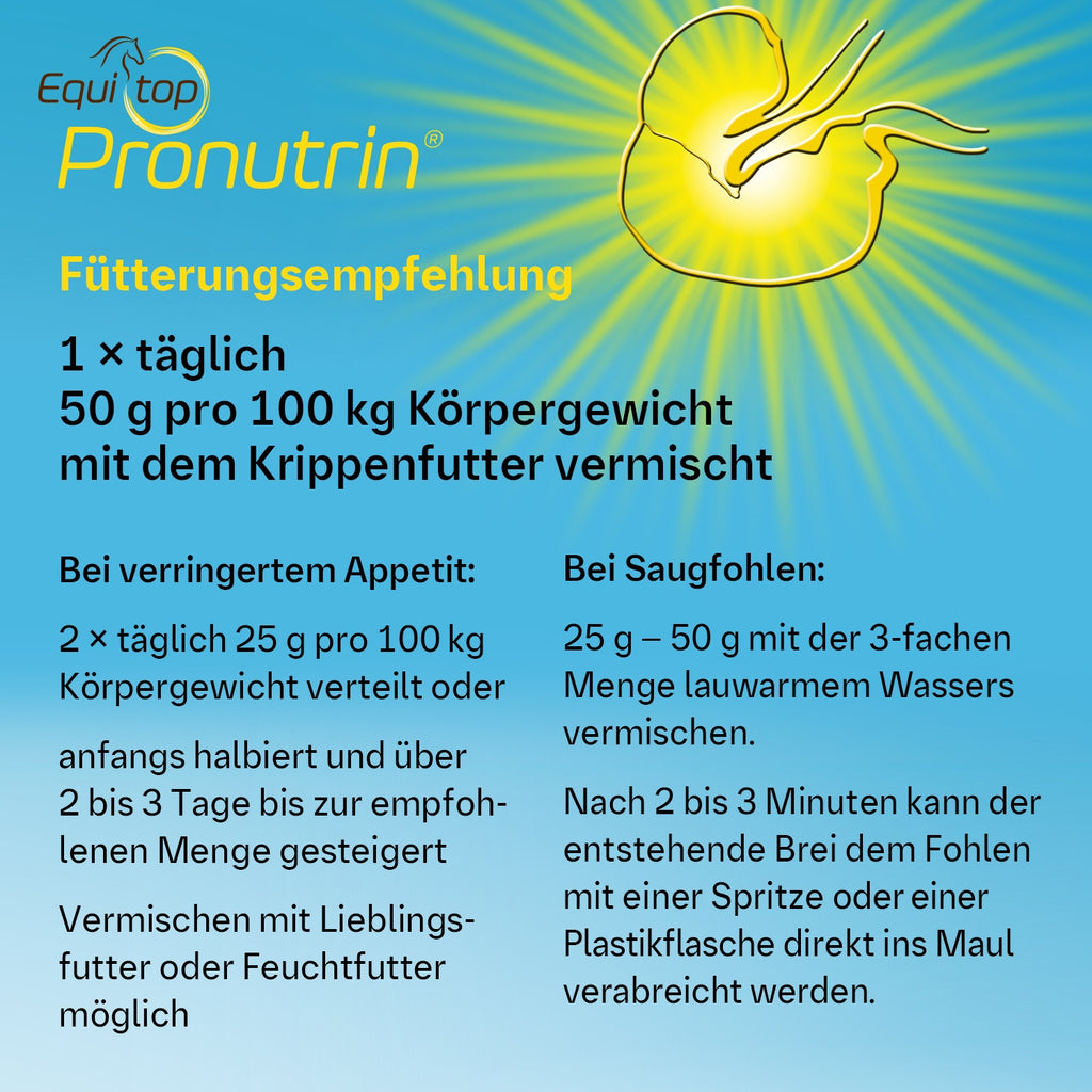 194BIP – Bild 5