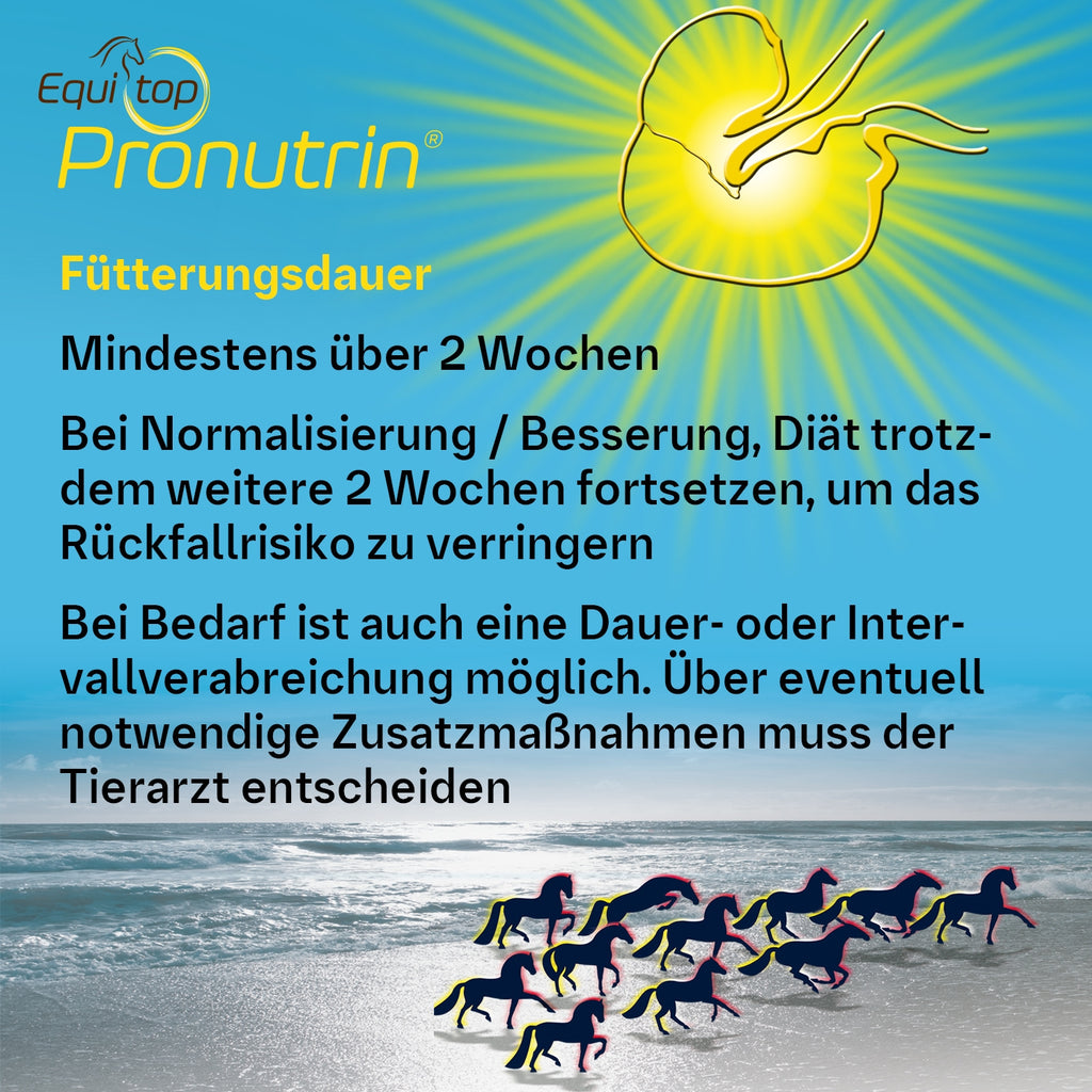 194BIP – Bild 6