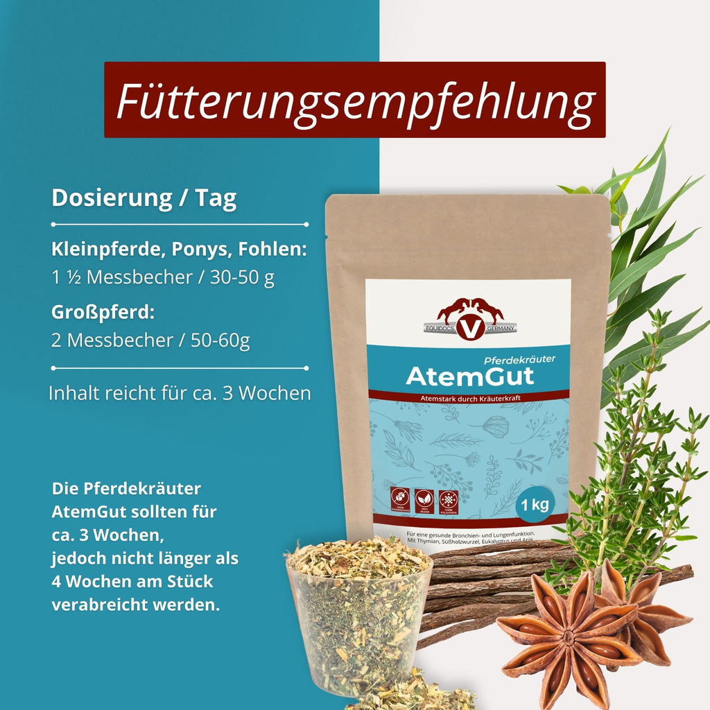 245EDA – Bild 3