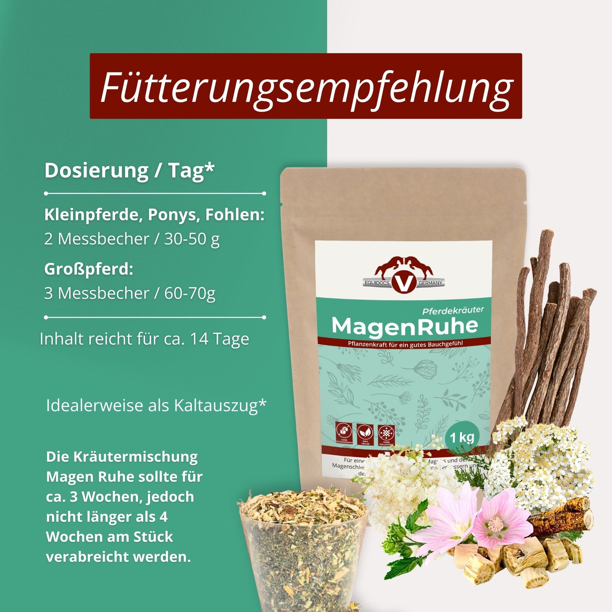 249EDM – Bild 40