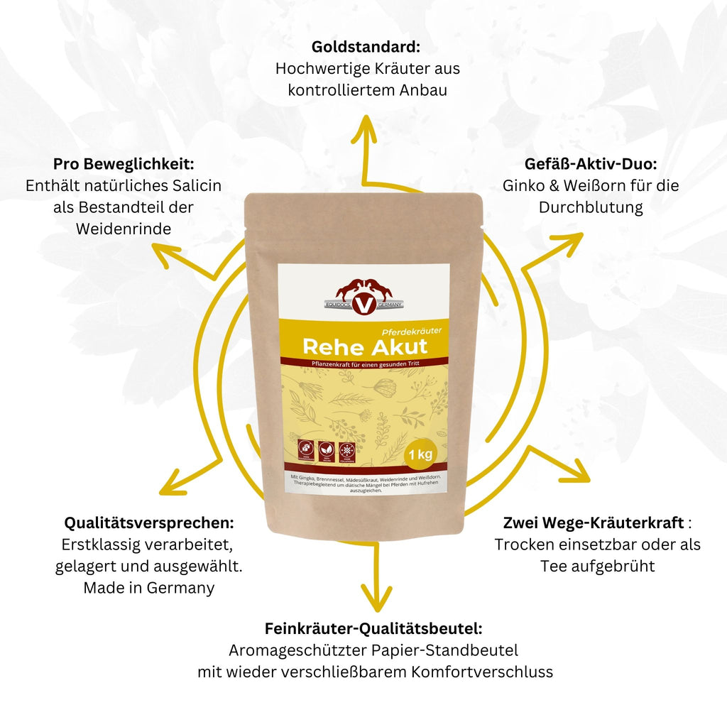 251EDR – Bild 4
