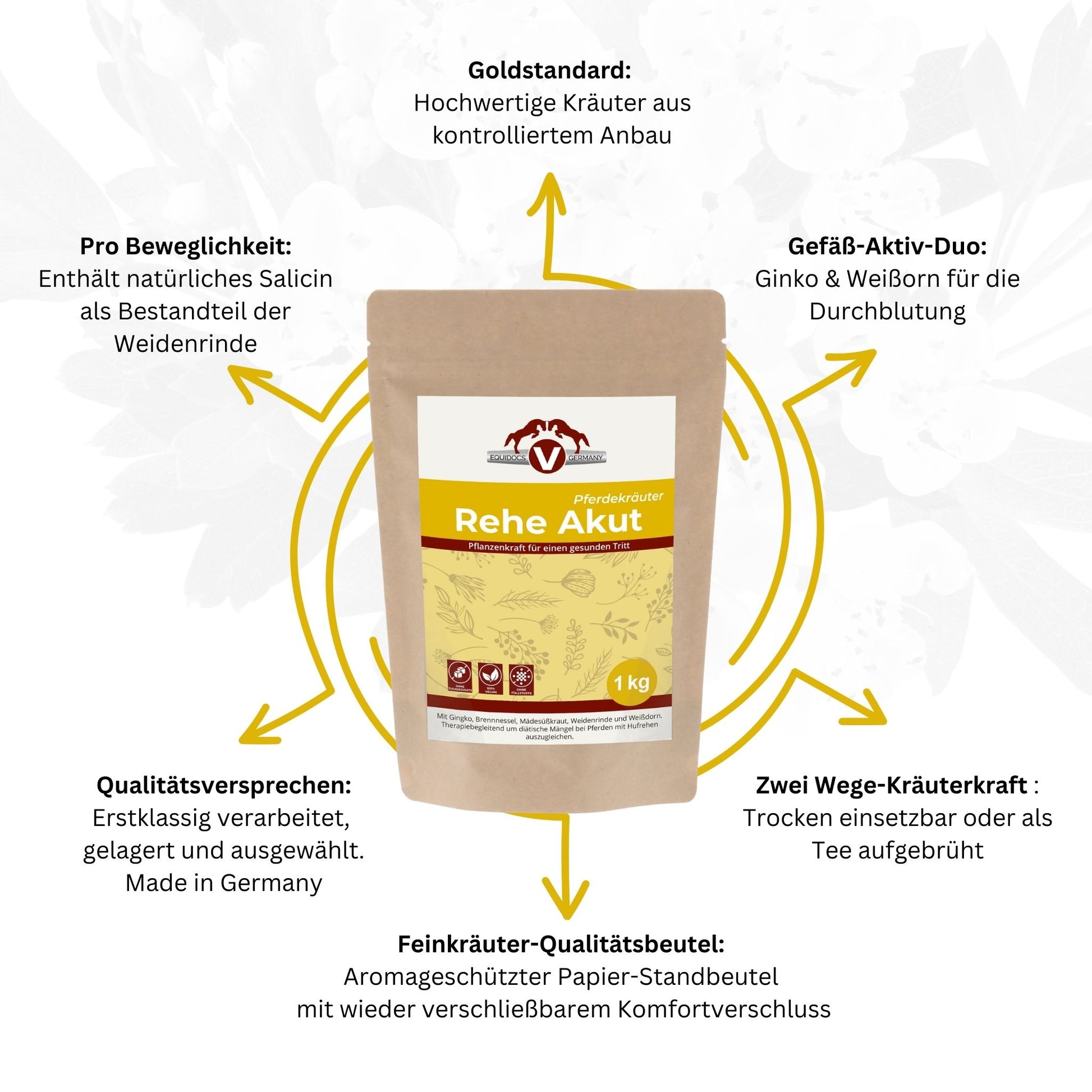 251EDR – Bild 4