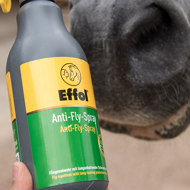 589EFA – Bild 1
